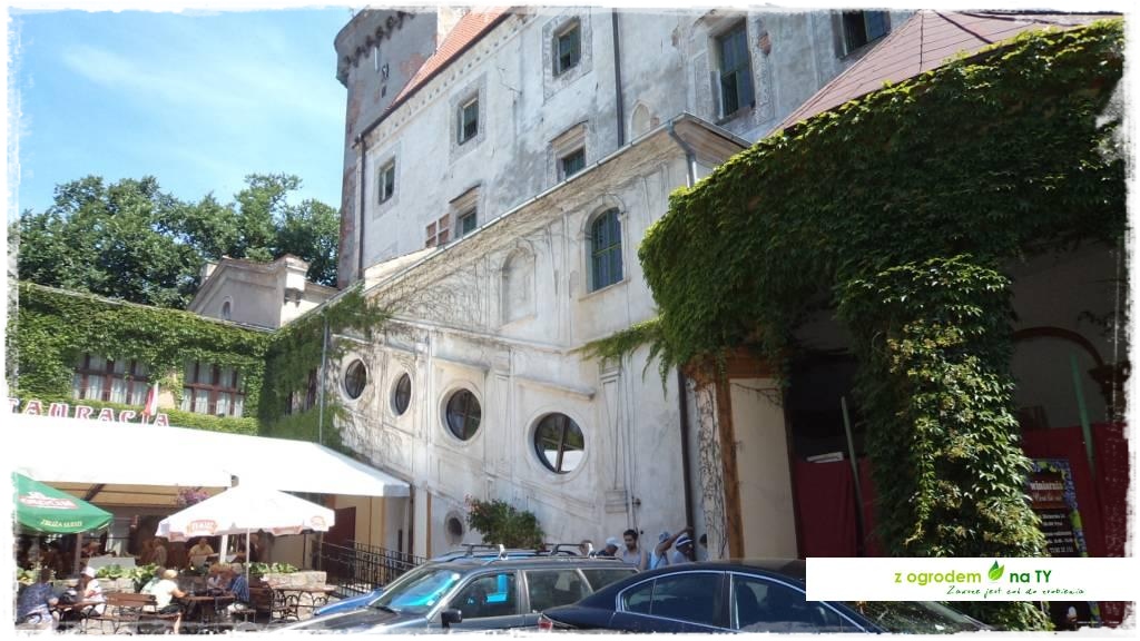 LATO_KWIATOWzogrodemnaty34