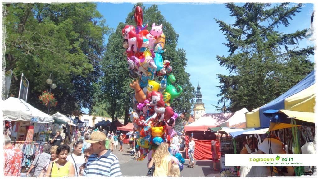 LATO_KWIATOWzogrodemnaty6