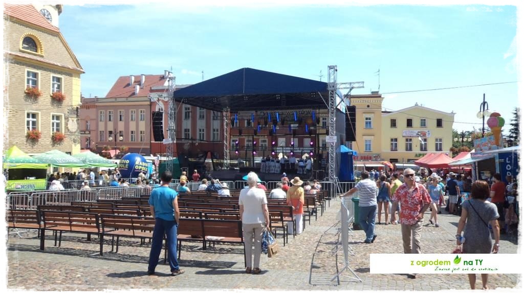 LATO_KWIATOWzogrodemnaty8