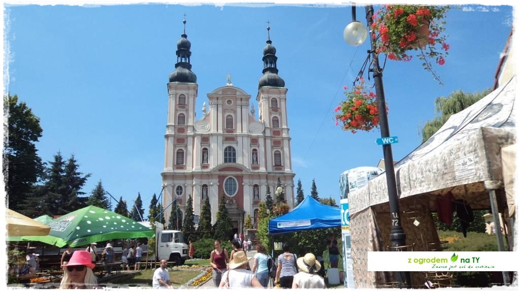 LATO_KWIATOWzogrodemnaty9