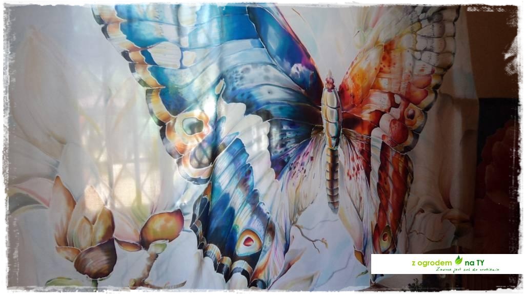 LATO_KWIATOWzogrodemnaty95