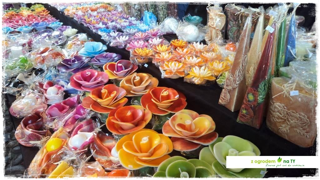 LATO_KWIATOWzogrodemnaty97