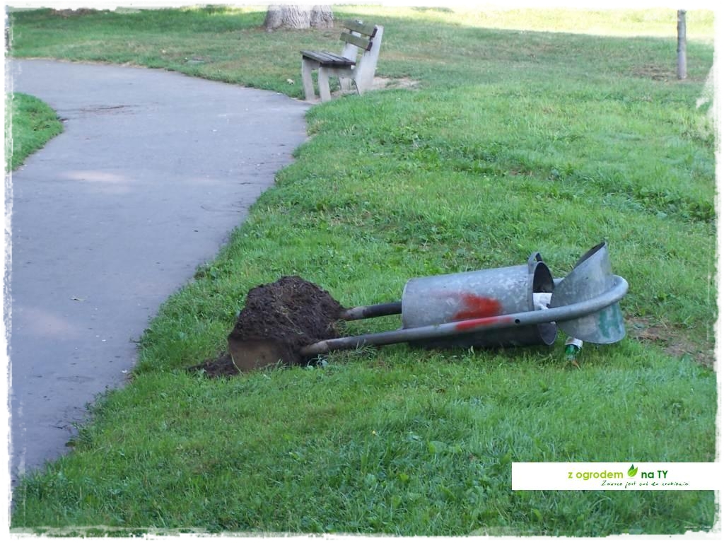 Polakodpoczywawparkuzogrodemnat11