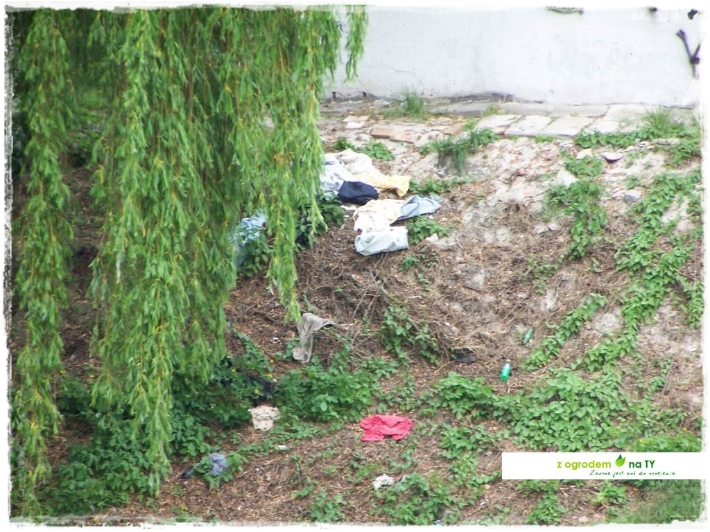 Polakodpoczywawparkuzogrodemnat15