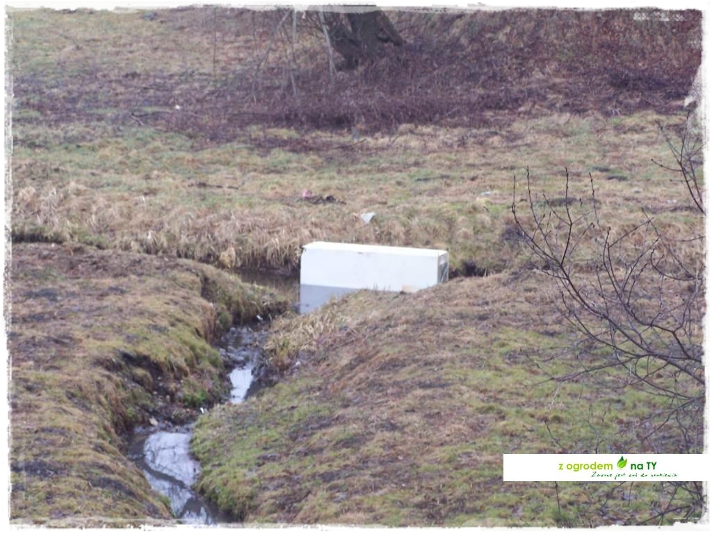 Polakodpoczywawparkuzogrodemnat16