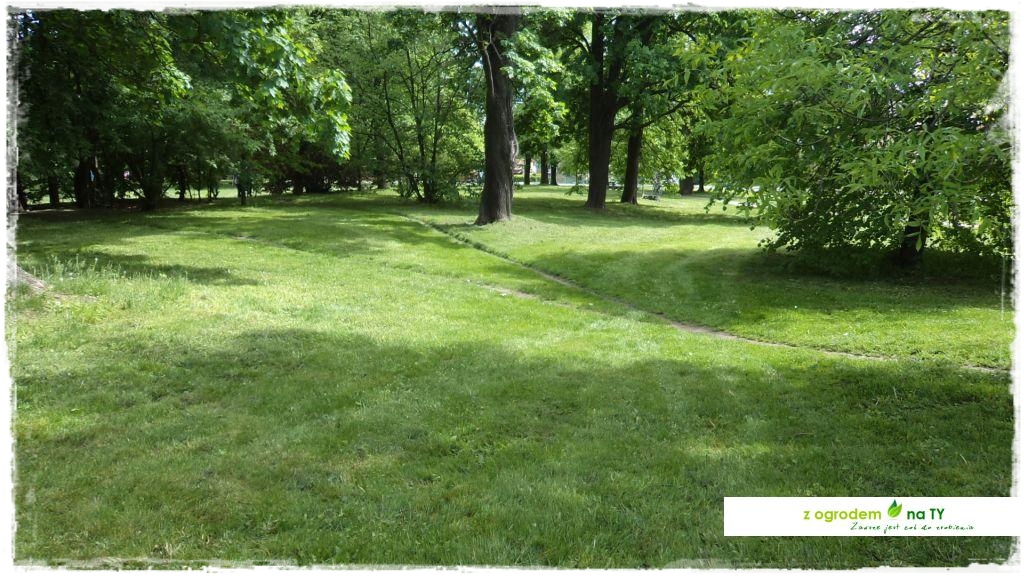 Polakodpoczywawparkuzogrodemnat2