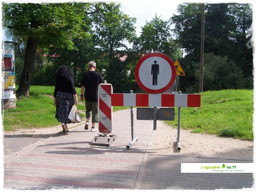 Polakodpoczywawparkuzogrodemnat23