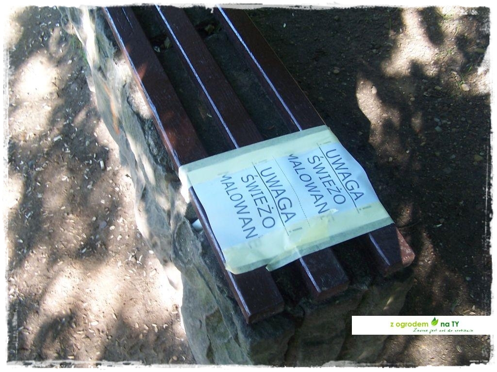 Polakodpoczywawparkuzogrodemnat25