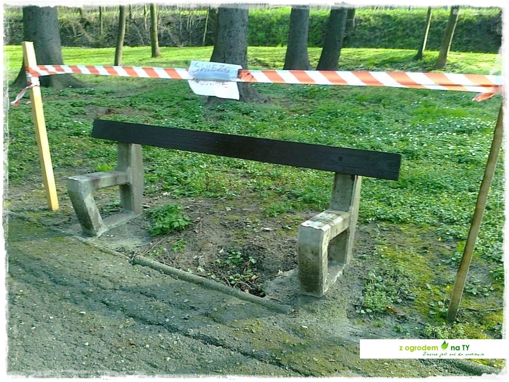 Polakodpoczywawparkuzogrodemnat28