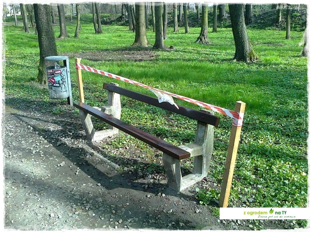 Polakodpoczywawparkuzogrodemnat29