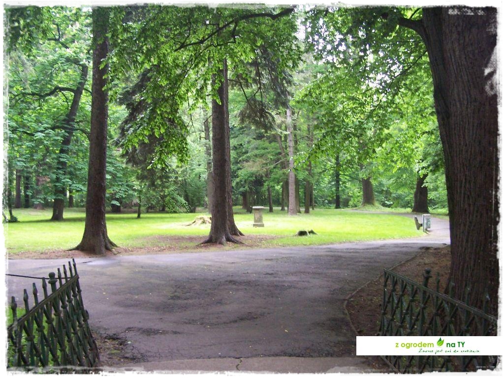 Polakodpoczywawparkuzogrodemnat3