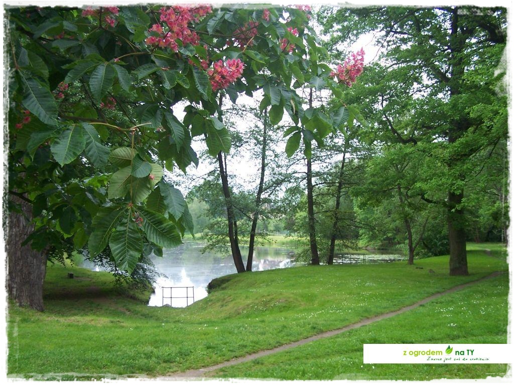 Polakodpoczywawparkuzogrodemnat4