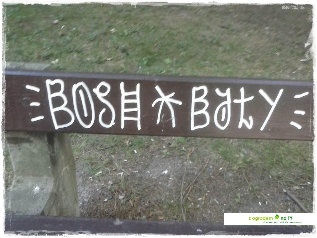 Polakodpoczywawparkuzogrodemnat5