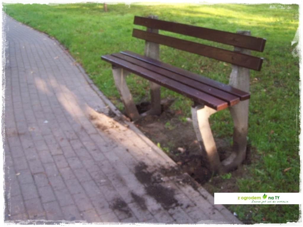 Polakodpoczywawparkuzogrodemnat7