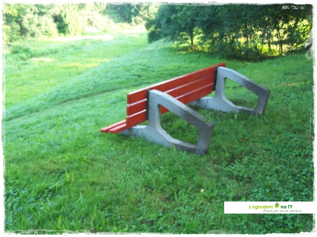 Polakodpoczywawparkuzogrodemnat8