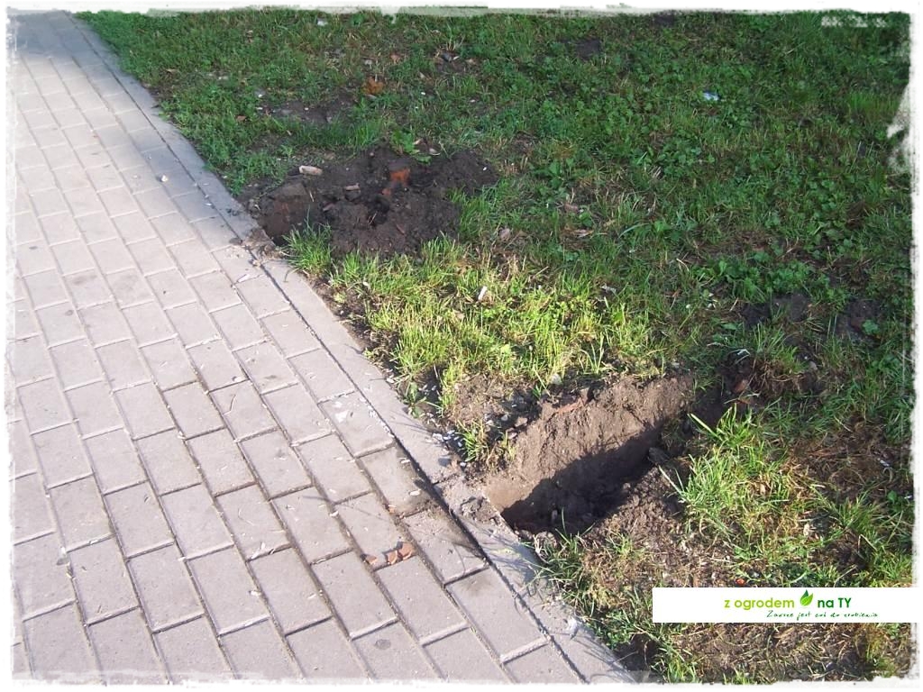 Polakodpoczywawparkuzogrodemnat9