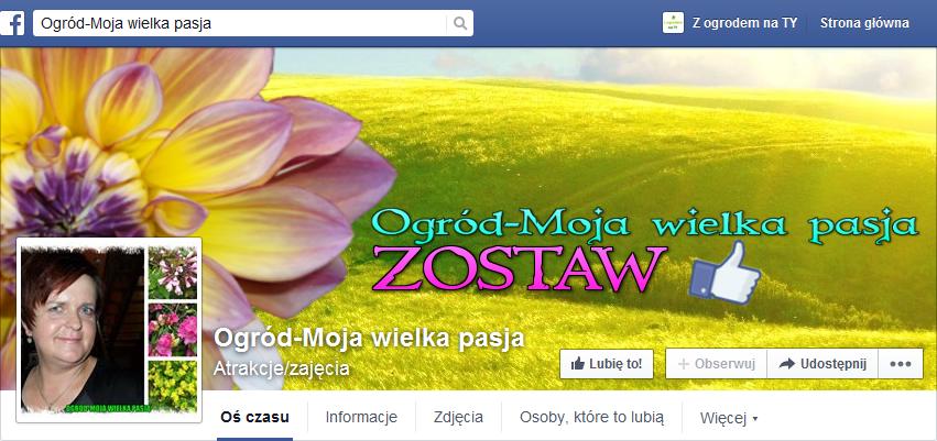 Ogród-Moja wielka pasja