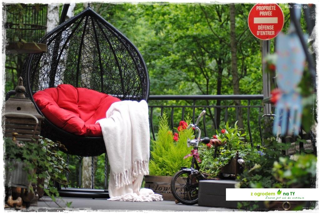 12miesiecyzogrodemnaty1