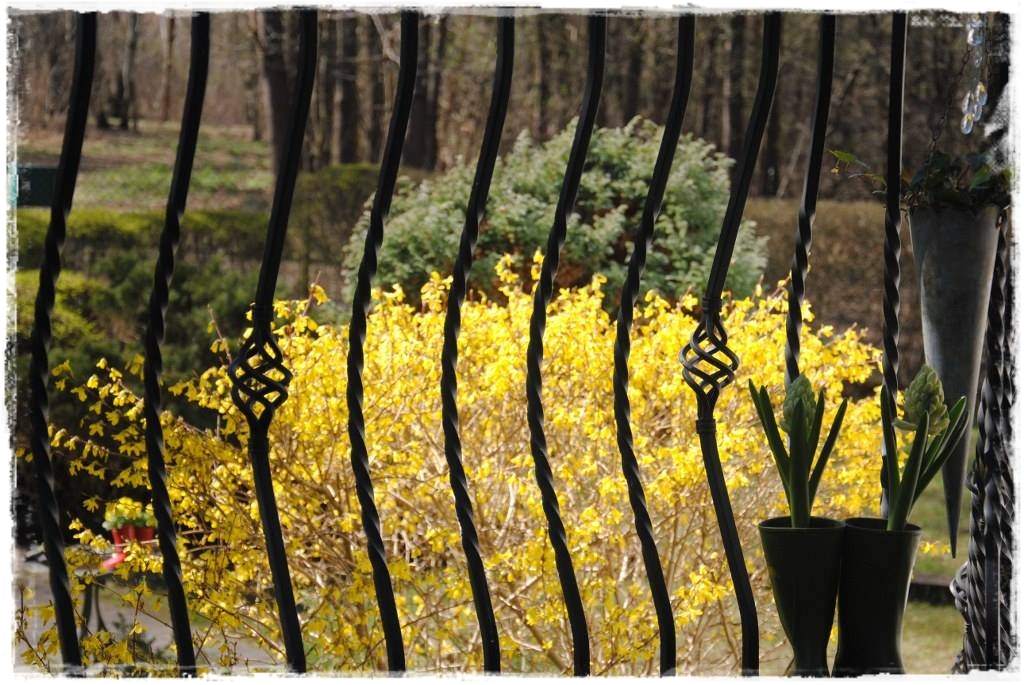 12miesiecyzogrodemnaty12