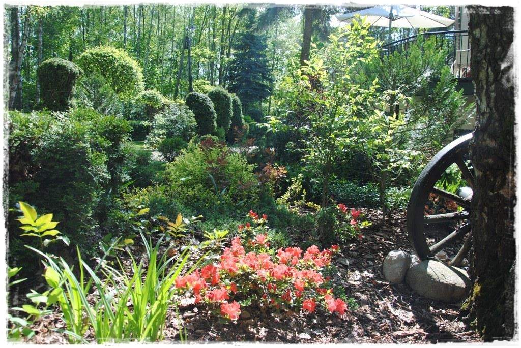 12miesiecyzogrodemnaty15