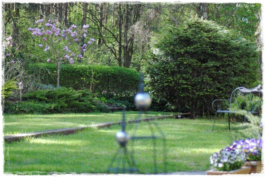 12miesiecyzogrodemnaty16