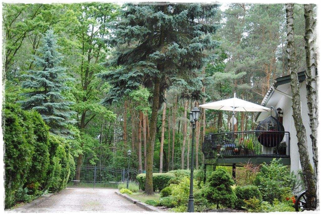 12miesiecyzogrodemnaty17