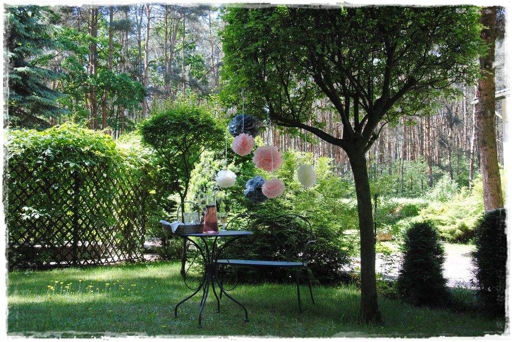 12miesiecyzogrodemnaty18