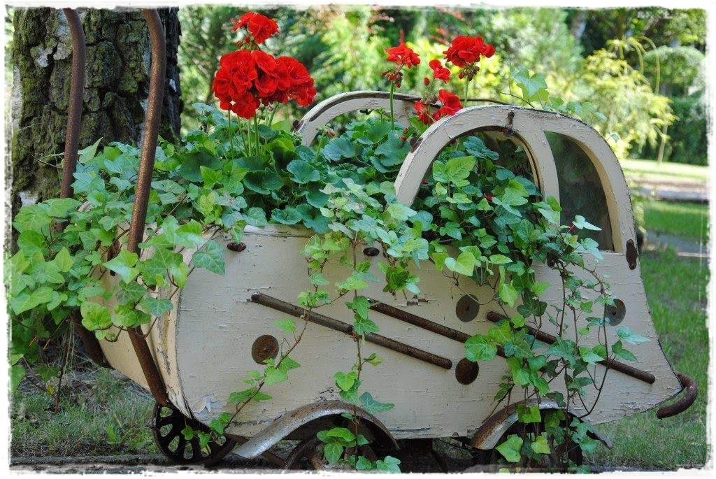 12miesiecyzogrodemnaty19