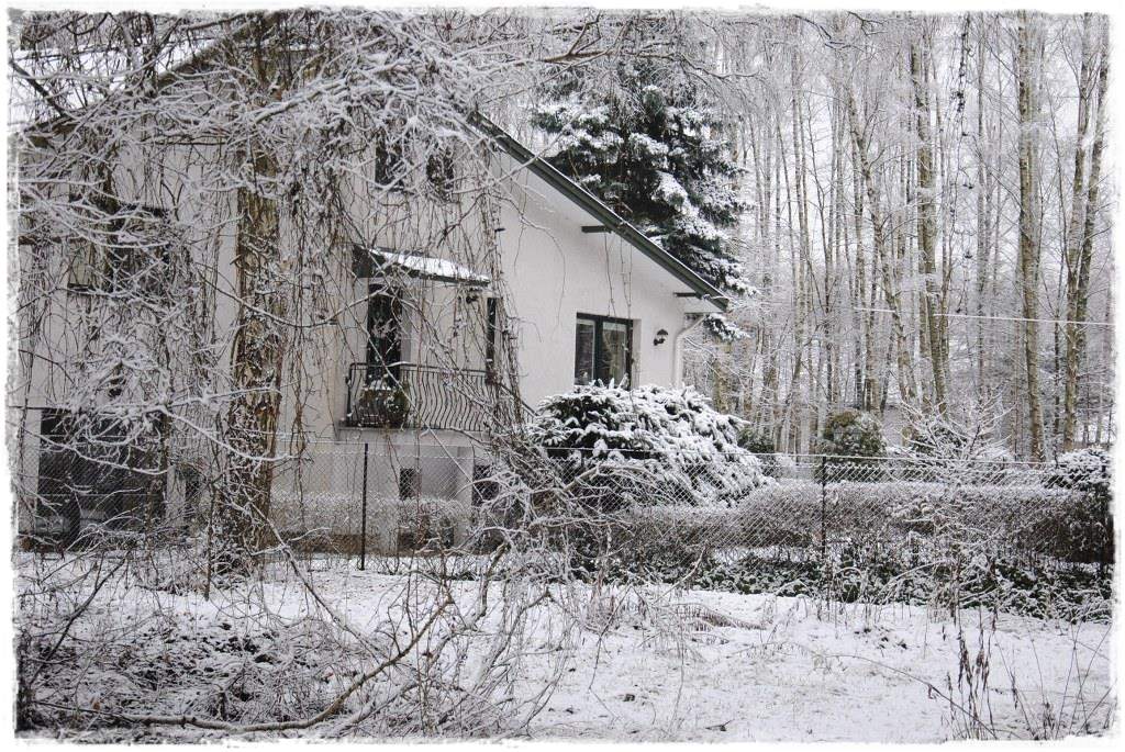 12miesiecyzogrodemnaty2