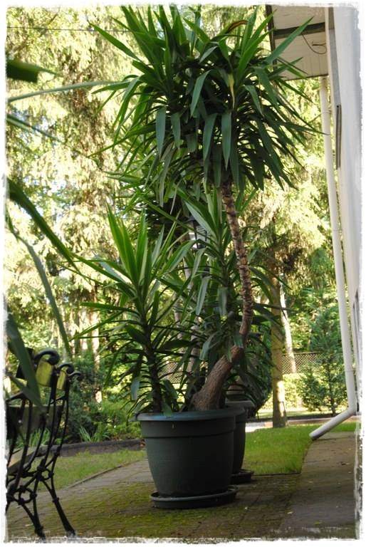 12miesiecyzogrodemnaty21