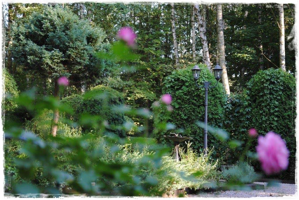 12miesiecyzogrodemnaty23