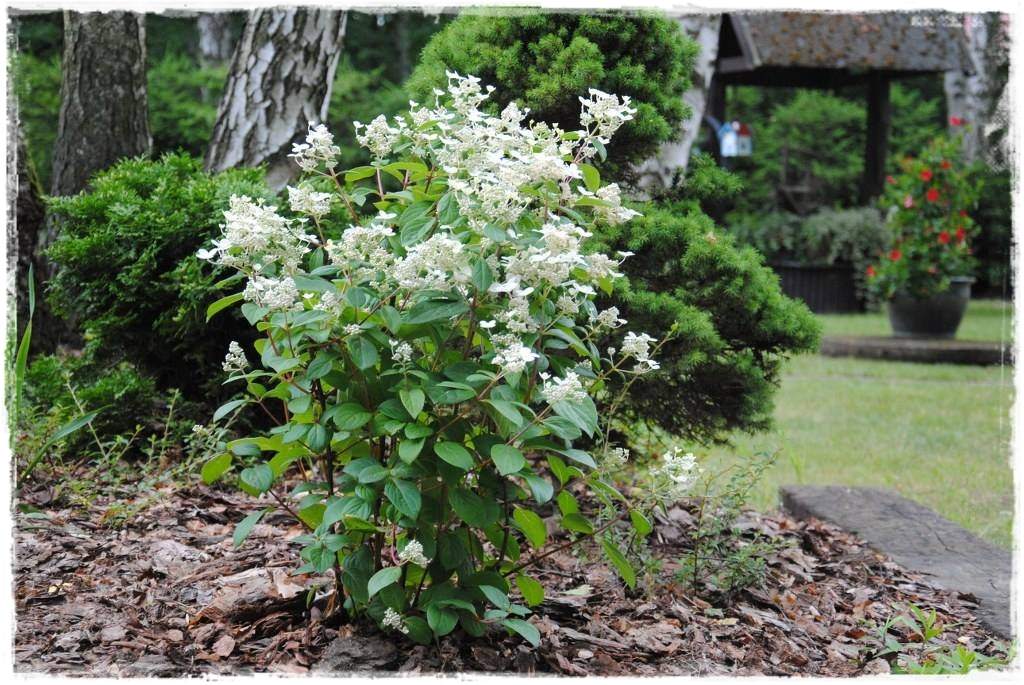 12miesiecyzogrodemnaty24