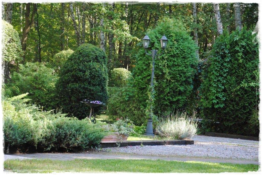 12miesiecyzogrodemnaty25