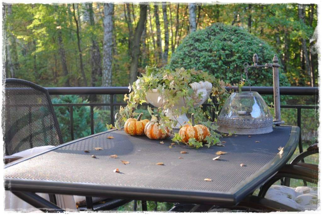 12miesiecyzogrodemnaty27