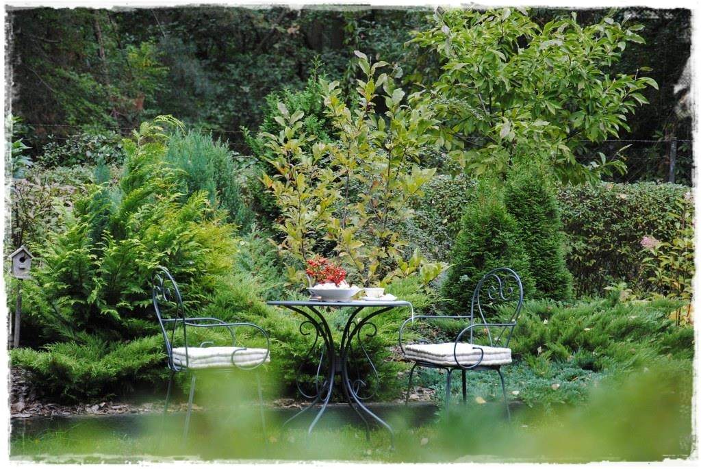 12miesiecyzogrodemnaty28