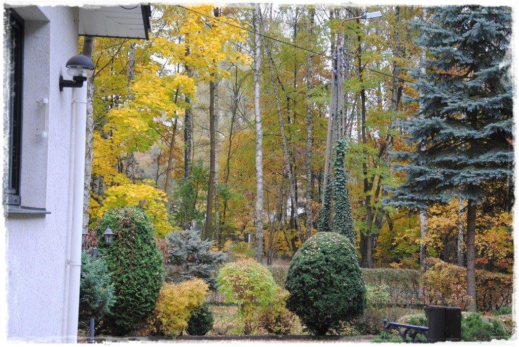 12miesiecyzogrodemnaty29