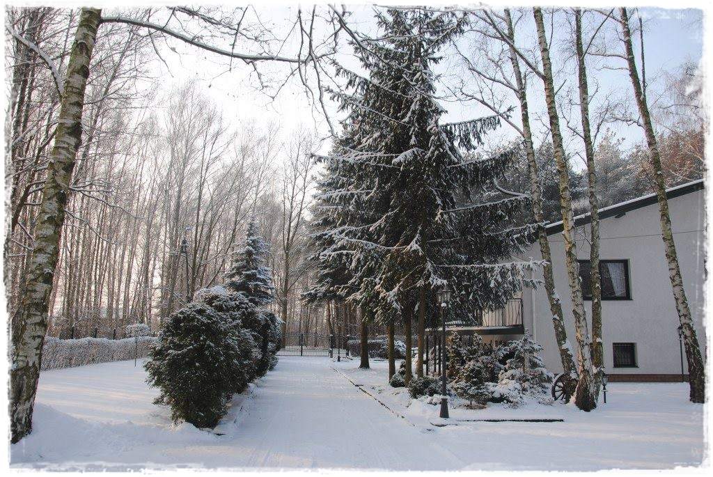 12miesiecyzogrodemnaty3