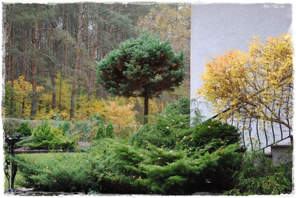 12miesiecyzogrodemnaty30