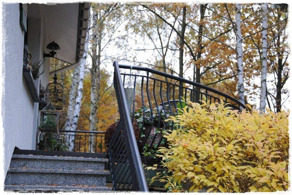 12miesiecyzogrodemnaty31