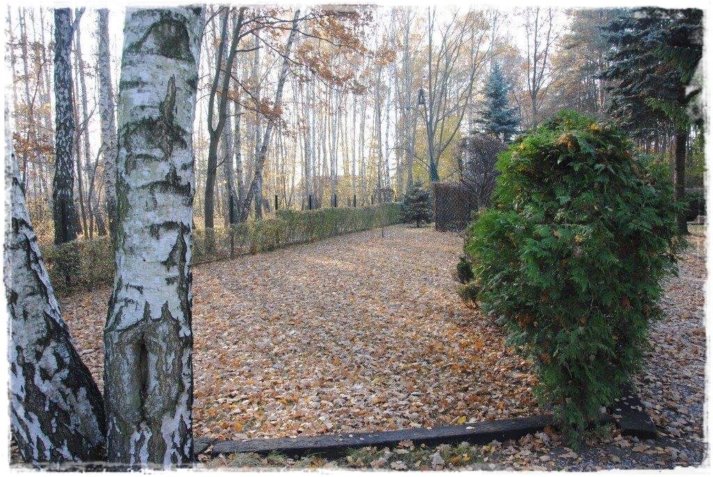 12miesiecyzogrodemnaty32