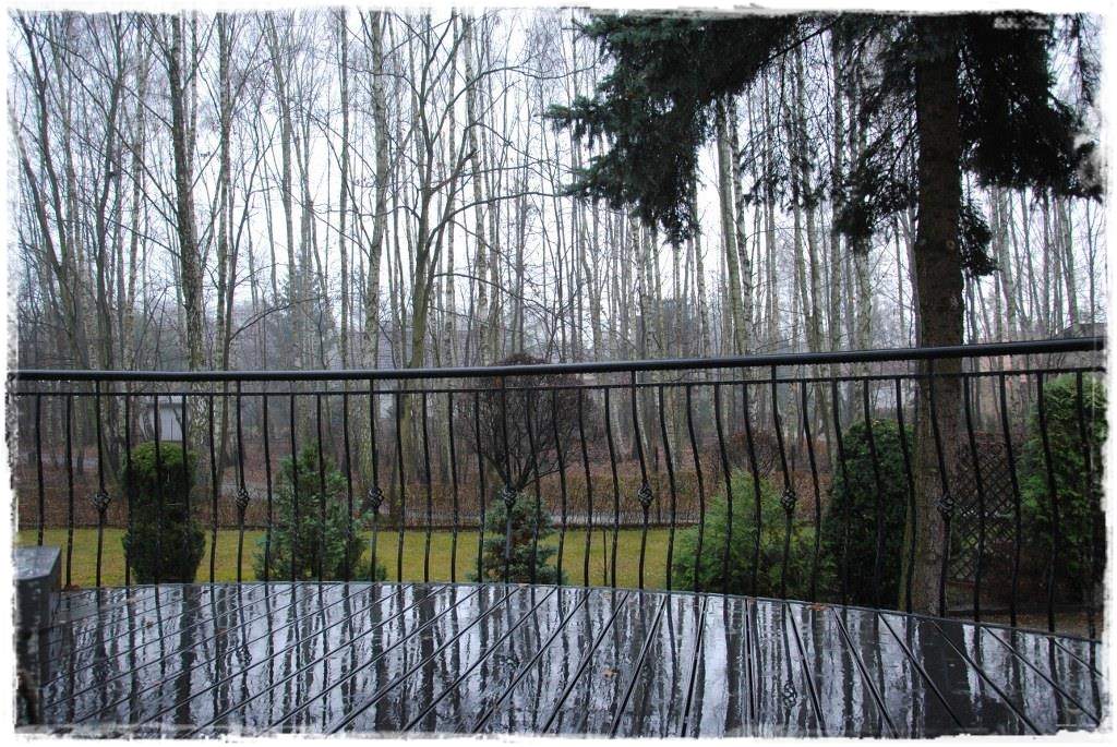 12miesiecyzogrodemnaty33