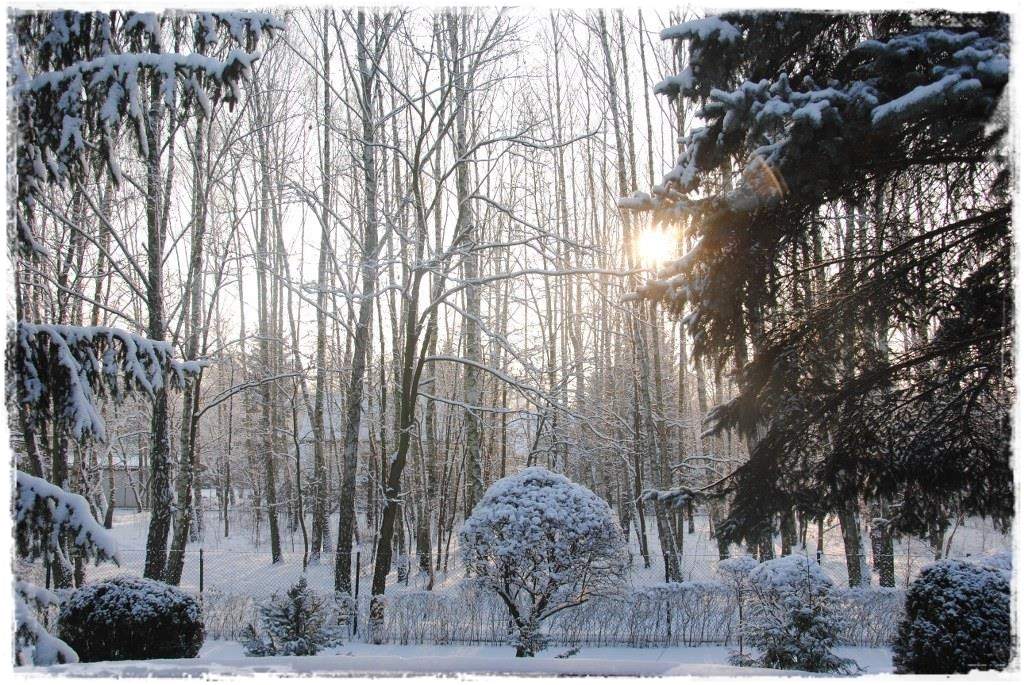 12miesiecyzogrodemnaty34