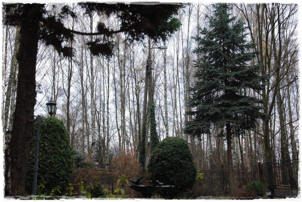 12miesiecyzogrodemnaty36