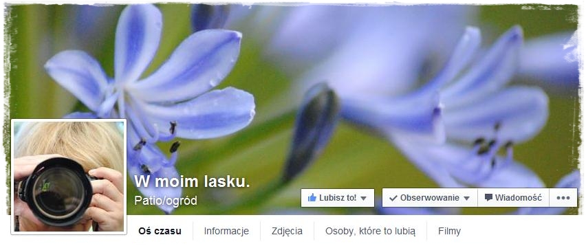 12miesiecyzogrodemnaty38