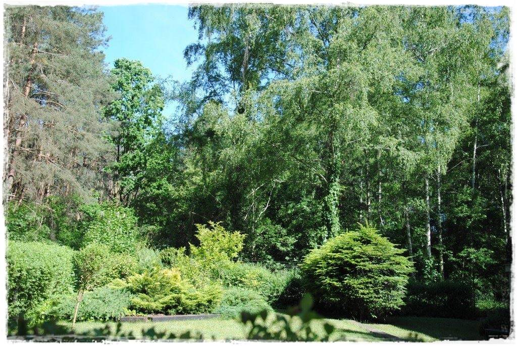 12miesiecyzogrodemnaty39