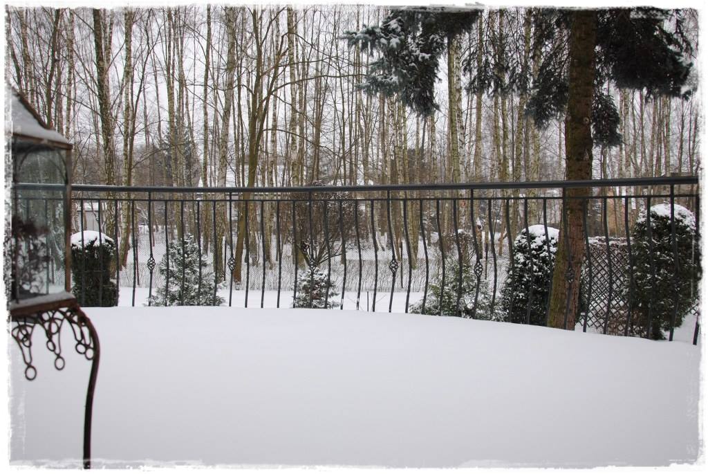 12miesiecyzogrodemnaty5