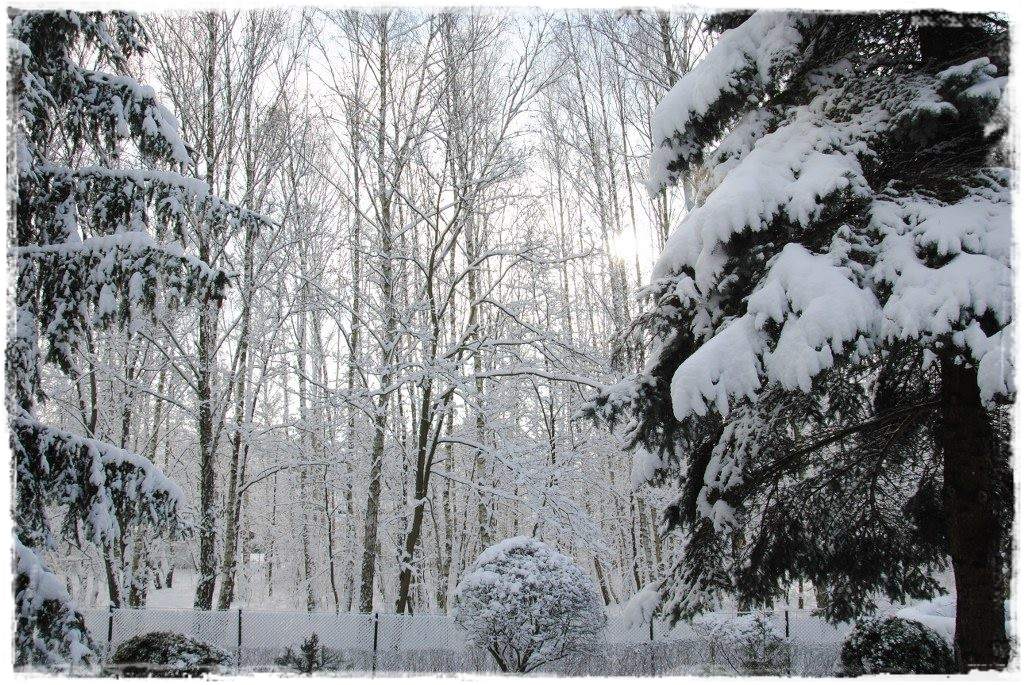 12miesiecyzogrodemnaty6