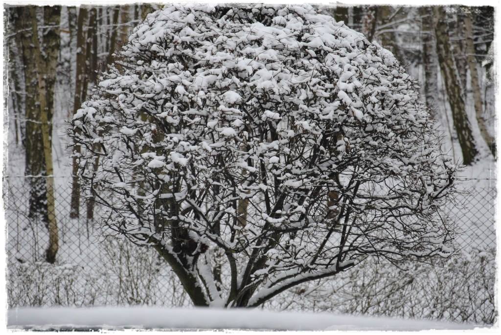 12miesiecyzogrodemnaty7