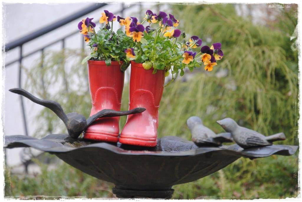 12miesiecyzogrodemnaty8