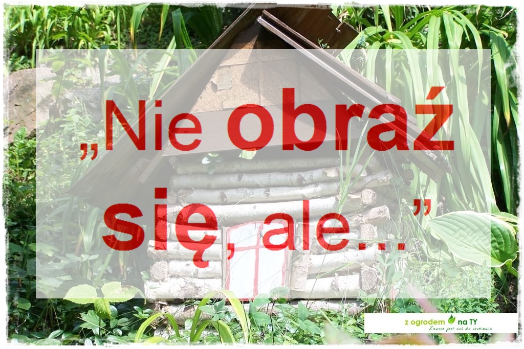 Komplement zogrodemnaty1